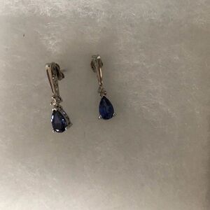 Elegant Blue Drop Earrings